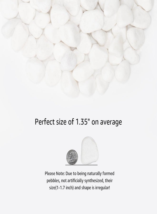 أحجار نهرية طبيعية بيضاء من LOOIOOJ، أحجار زخرفية بحجم 1-1.5 بوصة للنباتات والحدائق وتنسيق المناظر الطبيعية - 10 أرطال، مثالية لأحواض الأسماك والمزهريات والأعمال الحرفية وديكور المنزل وتنسيق الحدائق الخارجية - Image 2